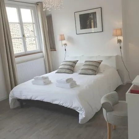 In Colmar, Le 5d Cathedrale Appartement